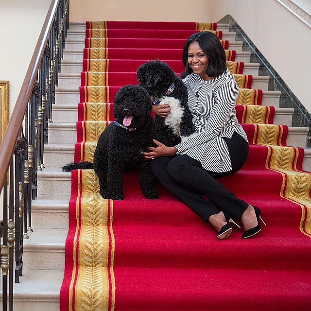 Michelle obama with her dogs at the white house