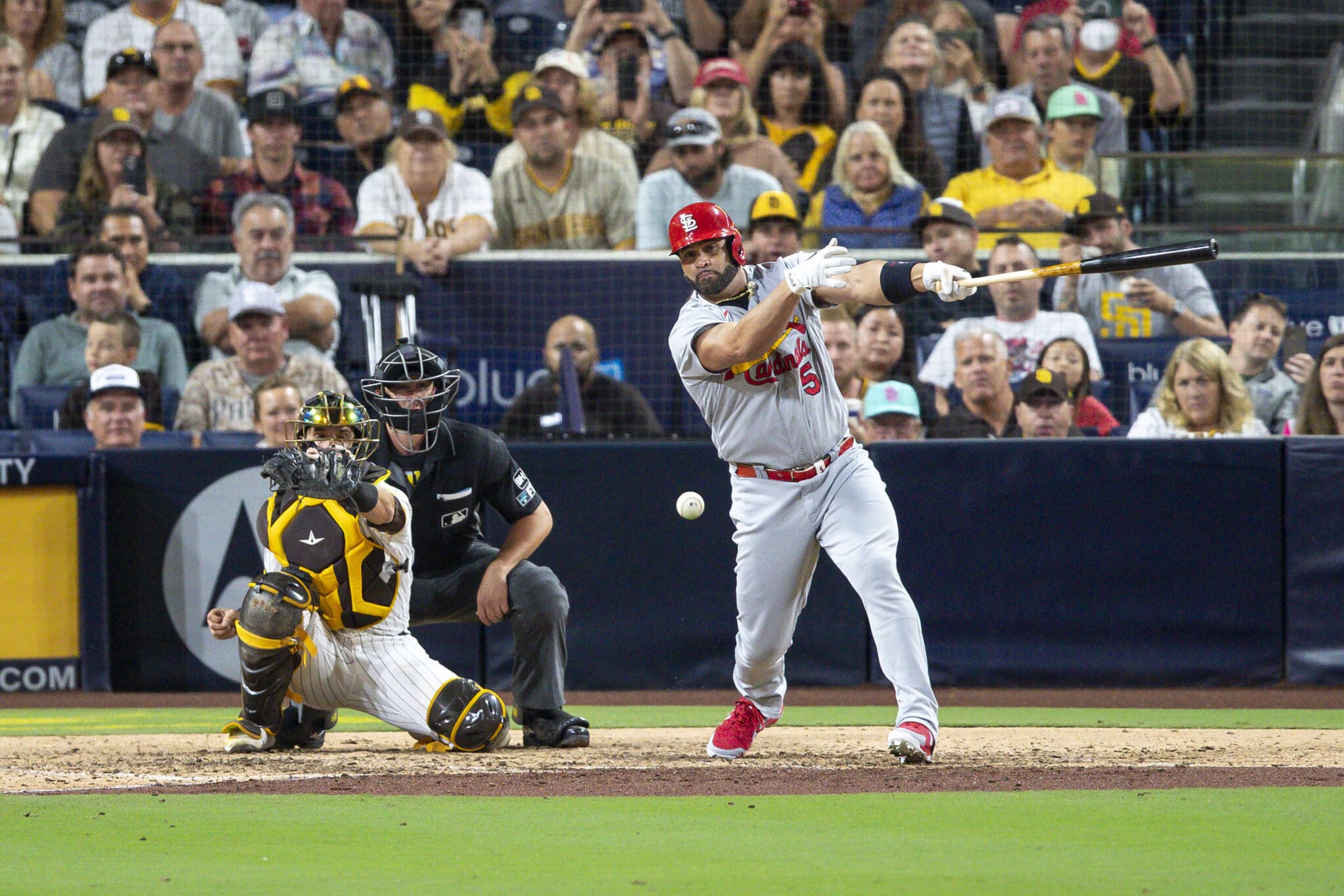 St. Louis Cardinals' Albert Pujols watches a ball hit for a single during the seventh inning of the team's baseball game against the San Diego Padres, Wednesday, Sept. 21, 2022, in San Diego. (AP Photo/Brandon Sloter)