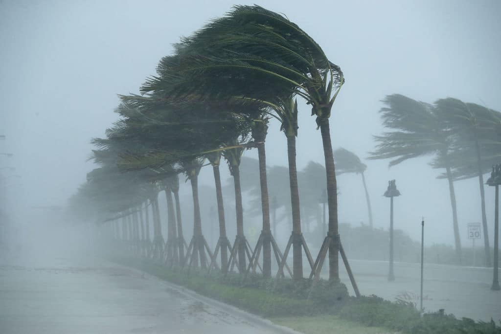 FORT LAUDERDALE, FL - SEPTEMBER 10:  Trees bend in the tropical storm wind along North Fort Lauderdale Beach Boulevard as Hurricane Irma hits the southern part of the state September 10, 2017 in Fort Lauderdale, Florida. The powerful hurricane made landfall in the United States in the Florida Keys at 9:10 a.m. after raking across the north coast of Cuba.  (Photo by Chip Somodevilla/Getty Images)