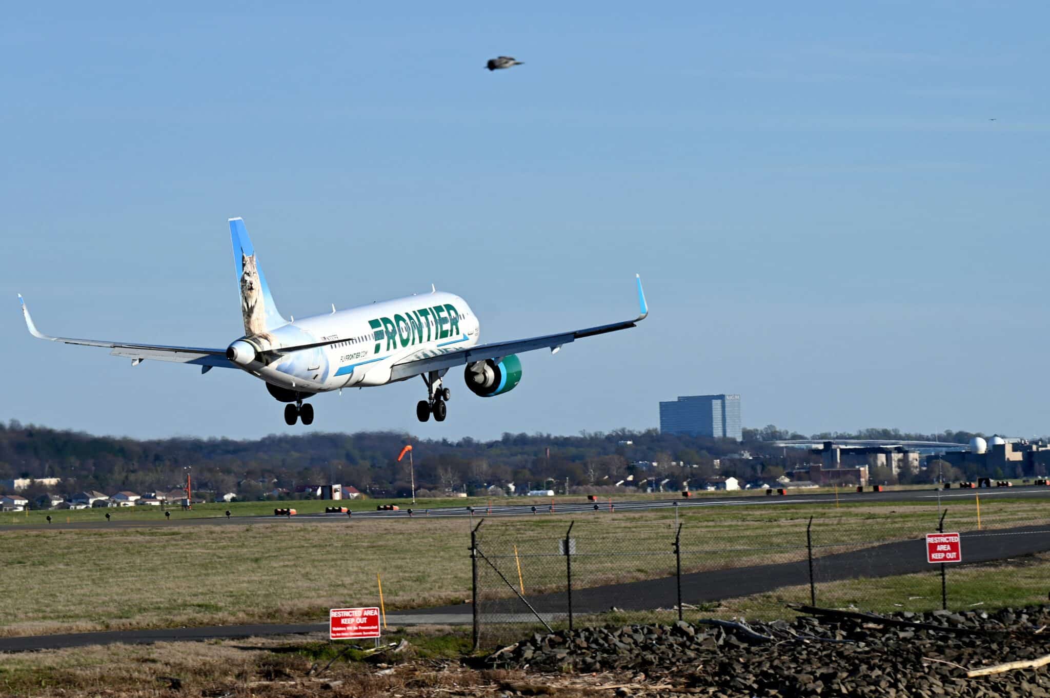 A Frontier Airlines plane approaches the runway at Ronald Reagan Washington National Airport (DCA) in Arlington, Virginia, on April 2, 2022. (Photo by Daniel SLIM / AFP) (Photo by DANIEL SLIM/AFP via Getty Images)