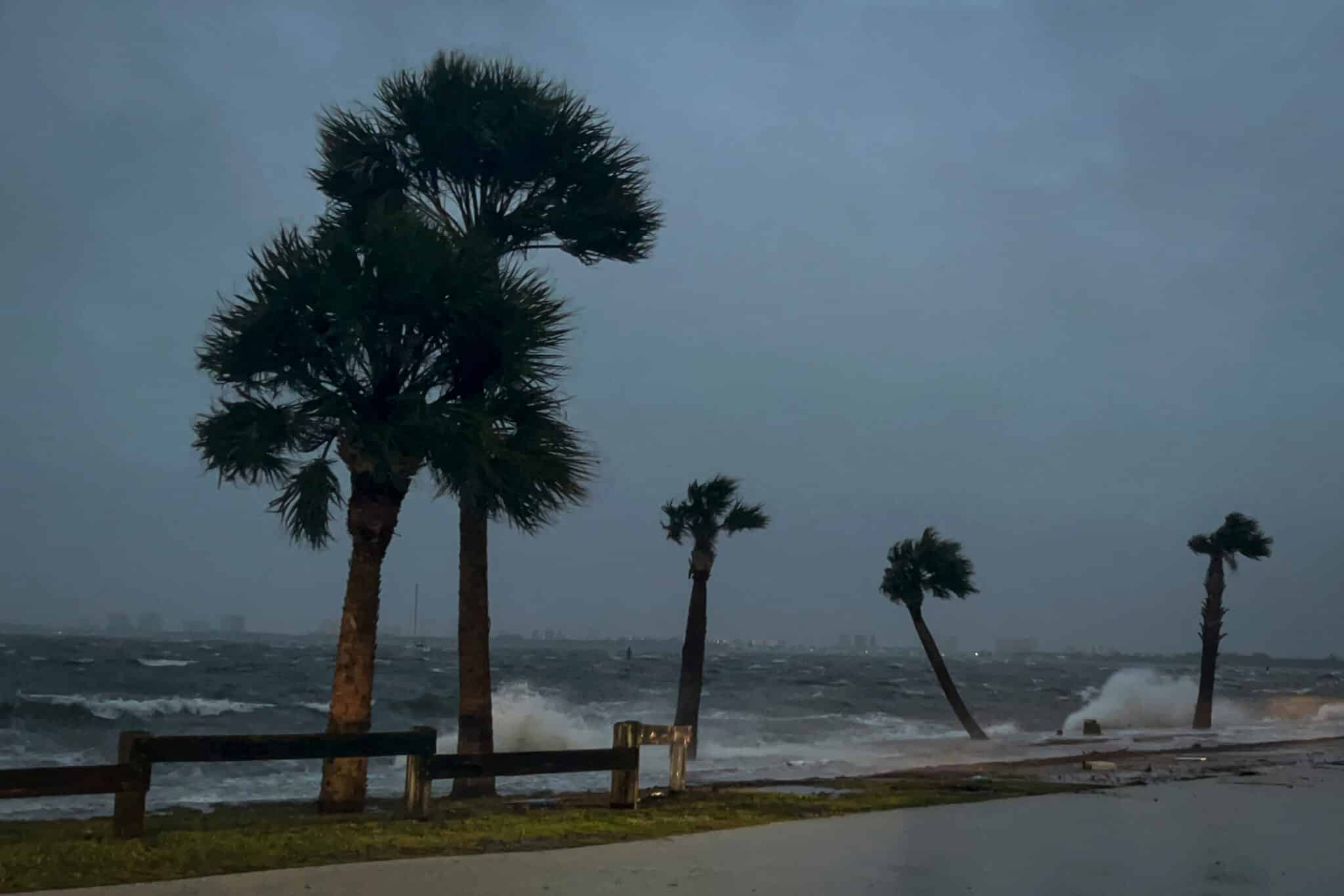 Palm trees are pounded by high tide and winds at Causeway Beach Park before Hurricane Nicole makes landfall in Jensen Beach, Florida on November 9, 2022. - Nicole, now a category 1 hurricane, is expected to make landfall over Florida's coast overnight. (Photo by Eva Marie UZCATEGUI / AFP) (Photo by EVA MARIE UZCATEGUI/AFP via Getty Images)