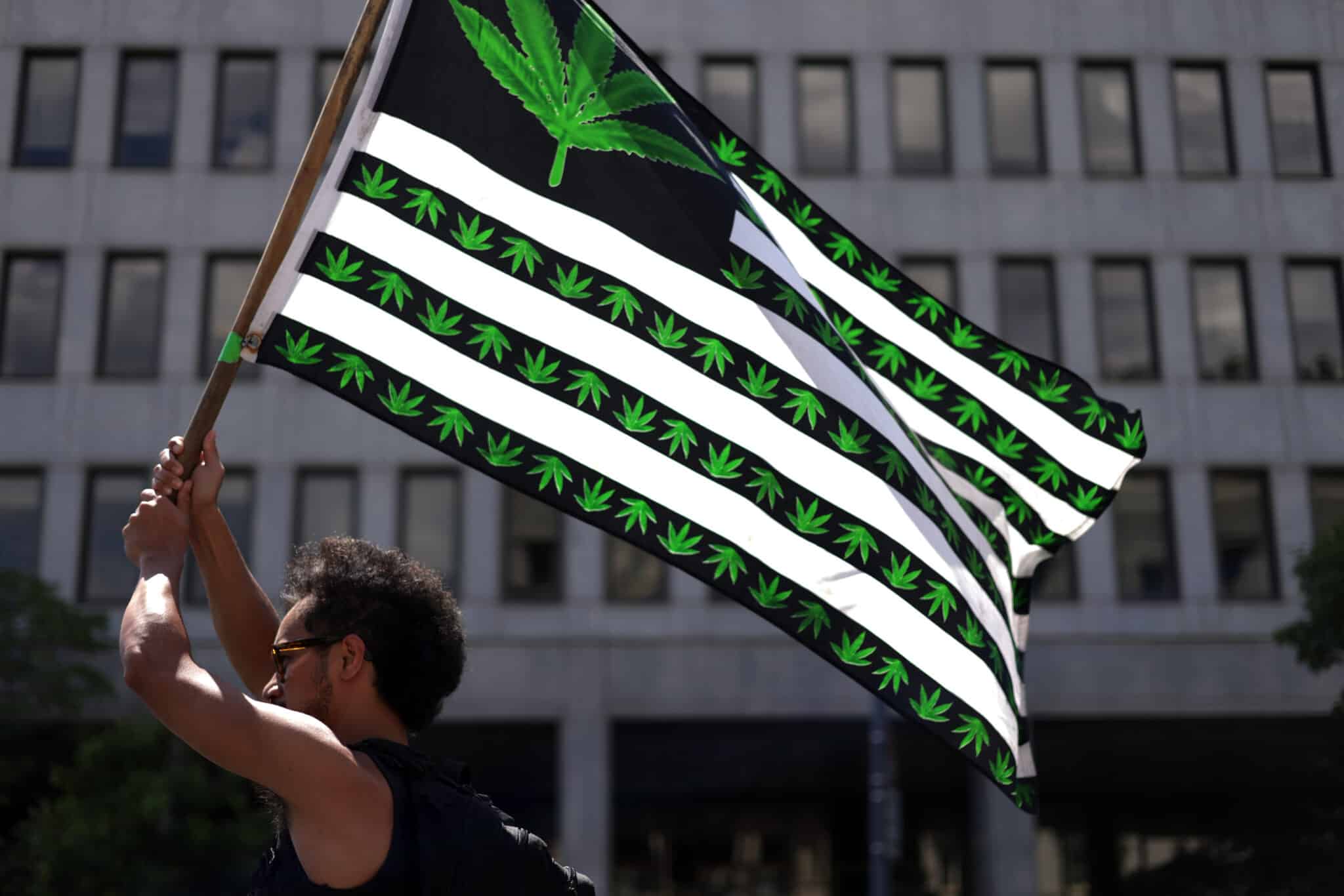 WASHINGTON, DC - JULY 04:  A marijuana activist holds a flag during a march on Independence Day on July 4, 2021 in Washington, DC. Members of the group Fourth of July Hemp Coalition gathered outside the White House for its annual protest on marijuana prohibition which the group said it dated back to more than 50 years ago during Nixon Administration.  (Photo by Alex Wong/Getty Images)
