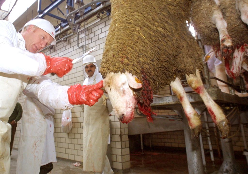 A knacker dismembers a sheep, 05 March 2001 at a slaughterhouse in Valenciennes, northern France, for the Muslim Eid al-Adha feast. Tests on sheep of British origin slaughtered in France came back positive from laboratories, revealing foot-and-mouth disease antibodies, France's Agriculture Minister Jean Glavany said Sunday.    AFP PHOTO FRANCOIS LO PRESTI (Photo by FRANCOIS LO PRESTI / AFP) (Photo by FRANCOIS LO PRESTI/AFP via Getty Images)